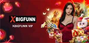 xbigfunn vip