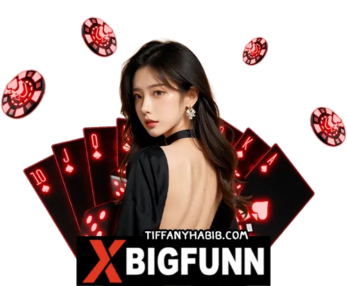 xbigfunn ทางเข้า